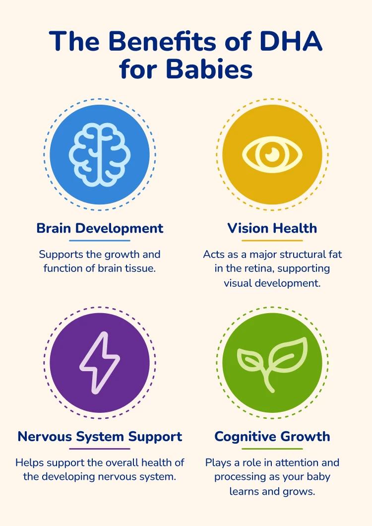 Infographic describing the benefits of DHA for babies. Content of infographic is laid out directly above under heading "What Are the Benefits of DHA for Babies?"